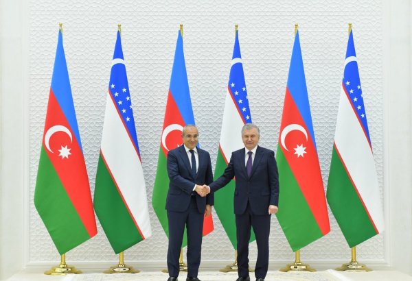 Президент Узбекистана принял делегацию Азербайджана (ФОТО)