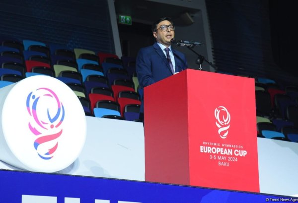 Президент Азербайджана Ильхам Алиев оказывает большую поддержку спорту - Фарид Гаибов