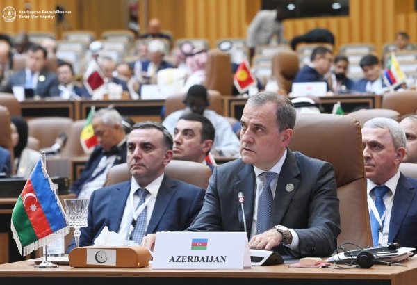 Azerbaijani FM addresses 15th OIC Summit (PHOTO)
