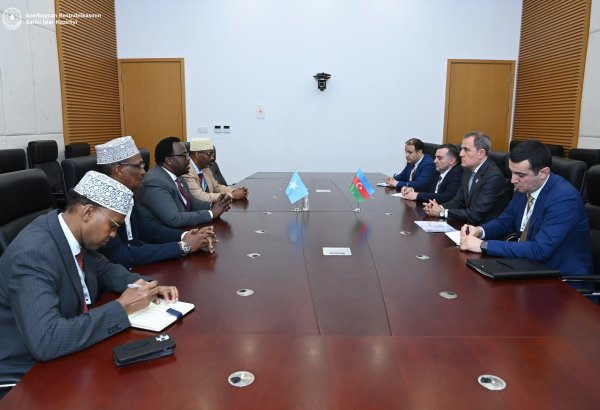 Глава МИД Азербайджана встретился с вице-премьер-министром Сомали (ФОТО)