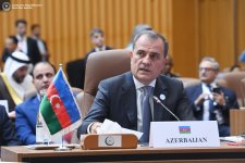 Azerbaijani FM addresses 15th OIC Summit (PHOTO)