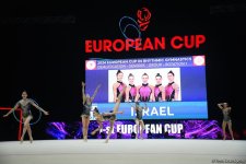 Second day of European Rhythmic Gymnastics Cup competition kicks off in Azerbaijan's Baku (PHOTO)