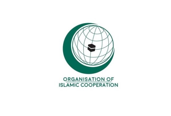 Türkiye's exports to OIC member countries for March 2024 revealed