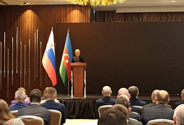 Азербайджан играет стратегическую роль как важный партнер Словакии - Дениса Сакова