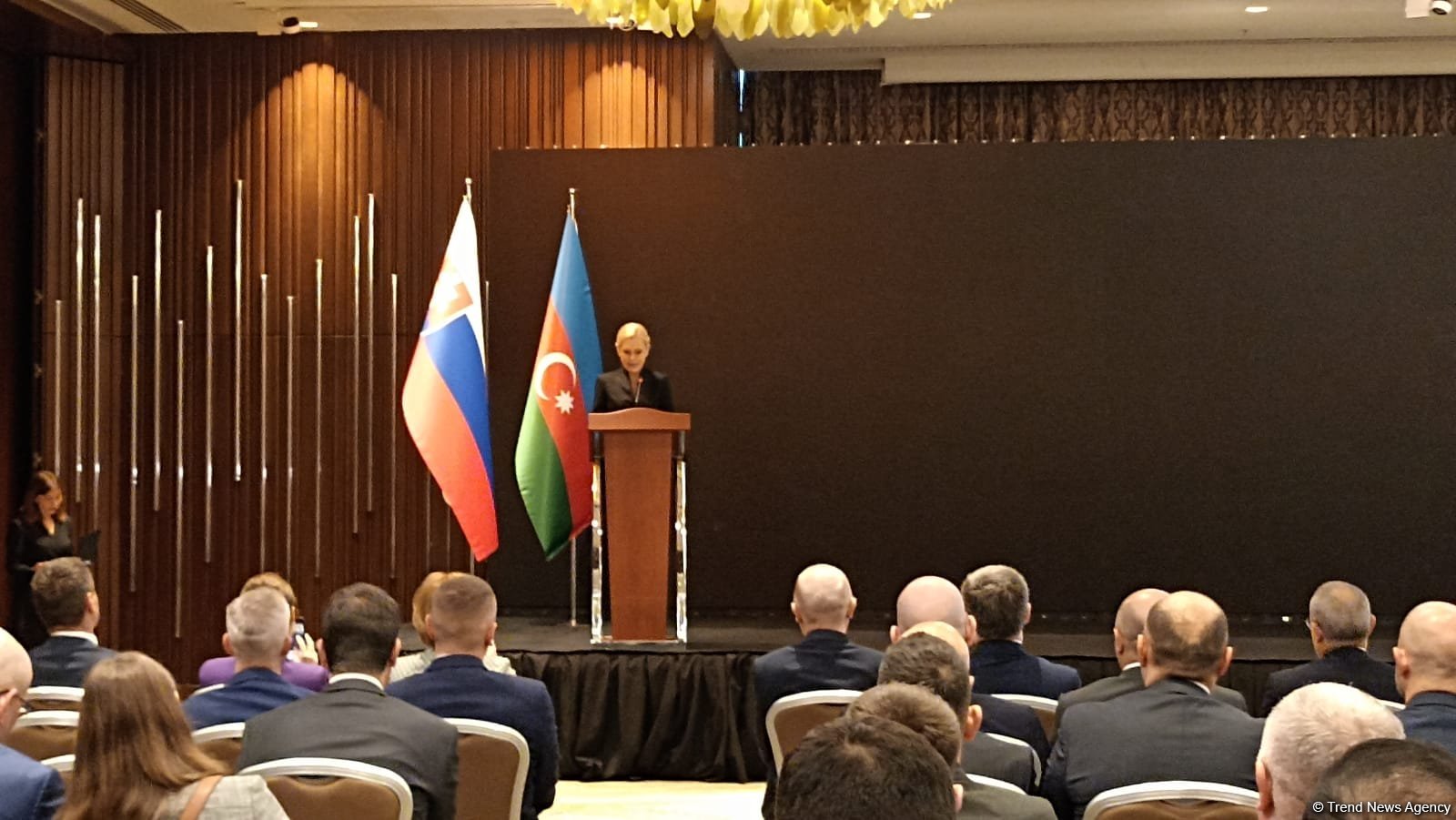 Азербайджан играет стратегическую роль как важный партнер Словакии - Дениса Сакова