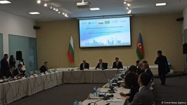 Azerbaijan, Bulgaria develop trusting strategic partnership - BACCI (PHOTO)