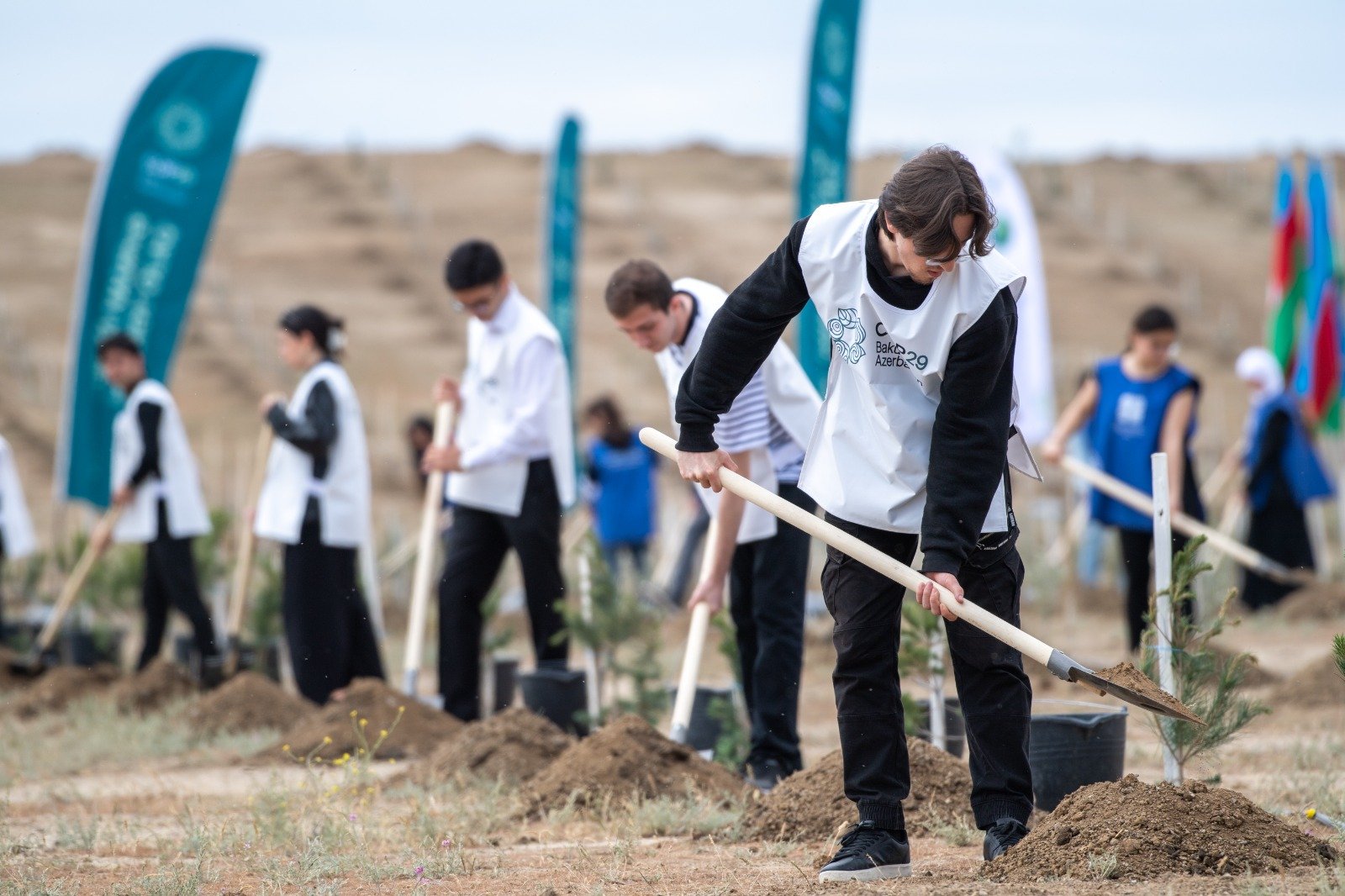Supporting COP29, Azerbaijan hosts massive tree-planting event