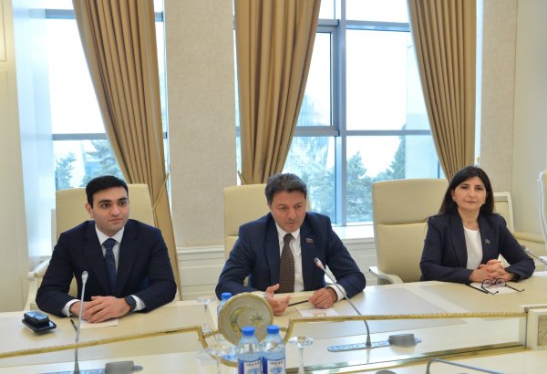 Azerbaijani parliament hosts meeting with European MP (PHOTO)