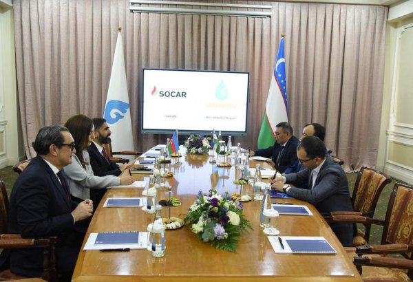 Главы SOCAR и "Узбекнефтегаз" провели обсуждения в Ташкенте