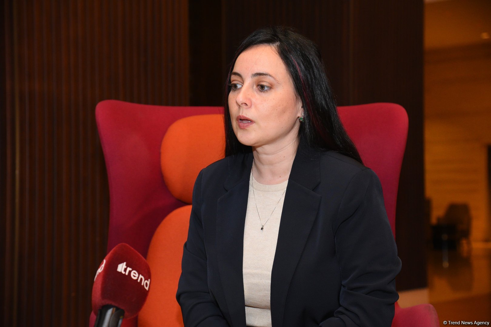 Израильские бизнесмены заинтересованы в сотрудничестве с Азербайджаном во всех отраслях - Элина Бардач-Ялова (Интервью) (ФОТО)