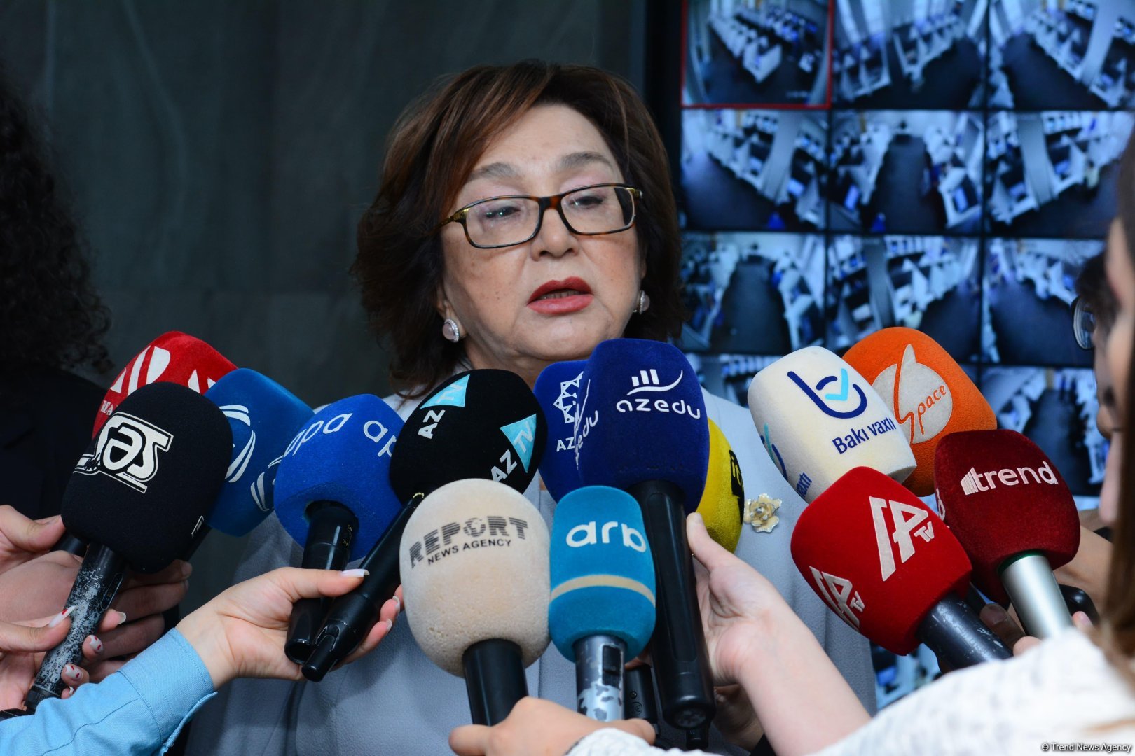 В Азербайджане не ожидается поступления в вуз по аттестату - Малейка Аббасзаде