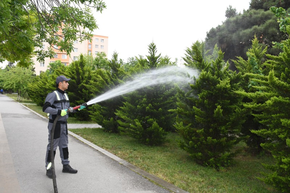 Bakının 549 küçəsi yuyulub (FOTO)