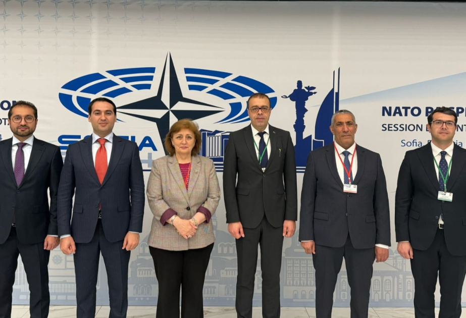 Representatives of Azerbaijan take part in NATO PA session