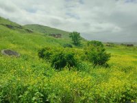 Azerbaijan airs footage from liberated village in Gazakh (VIDEO/PHOTO)