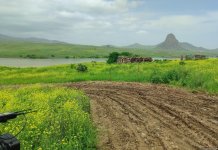 Azerbaijan airs footage from liberated village in Gazakh (VIDEO/PHOTO)