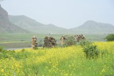 Azerbaijan airs footage from liberated village in Gazakh (VIDEO/PHOTO)