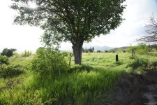 Media representatives visit village of Ashagi Askipara of Azerbaijan's Gazakh (PHOTO)