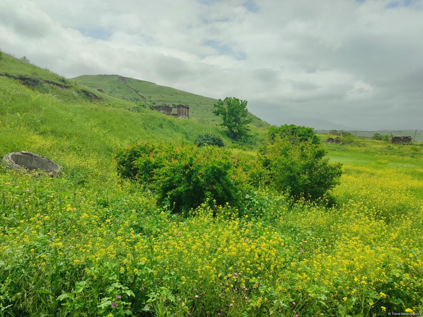 Azerbaijan airs footage from liberated village in Gazakh (VIDEO/PHOTO)