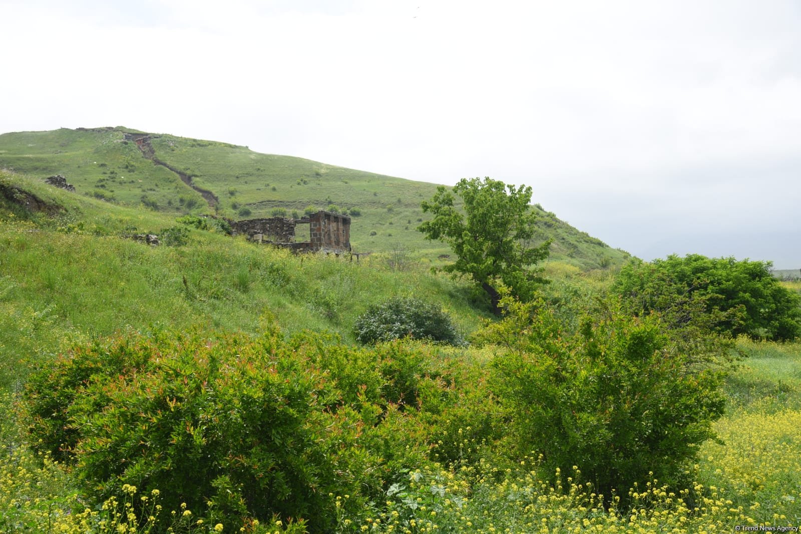 Azerbaijan airs footage from liberated village in Gazakh (VIDEO/PHOTO)