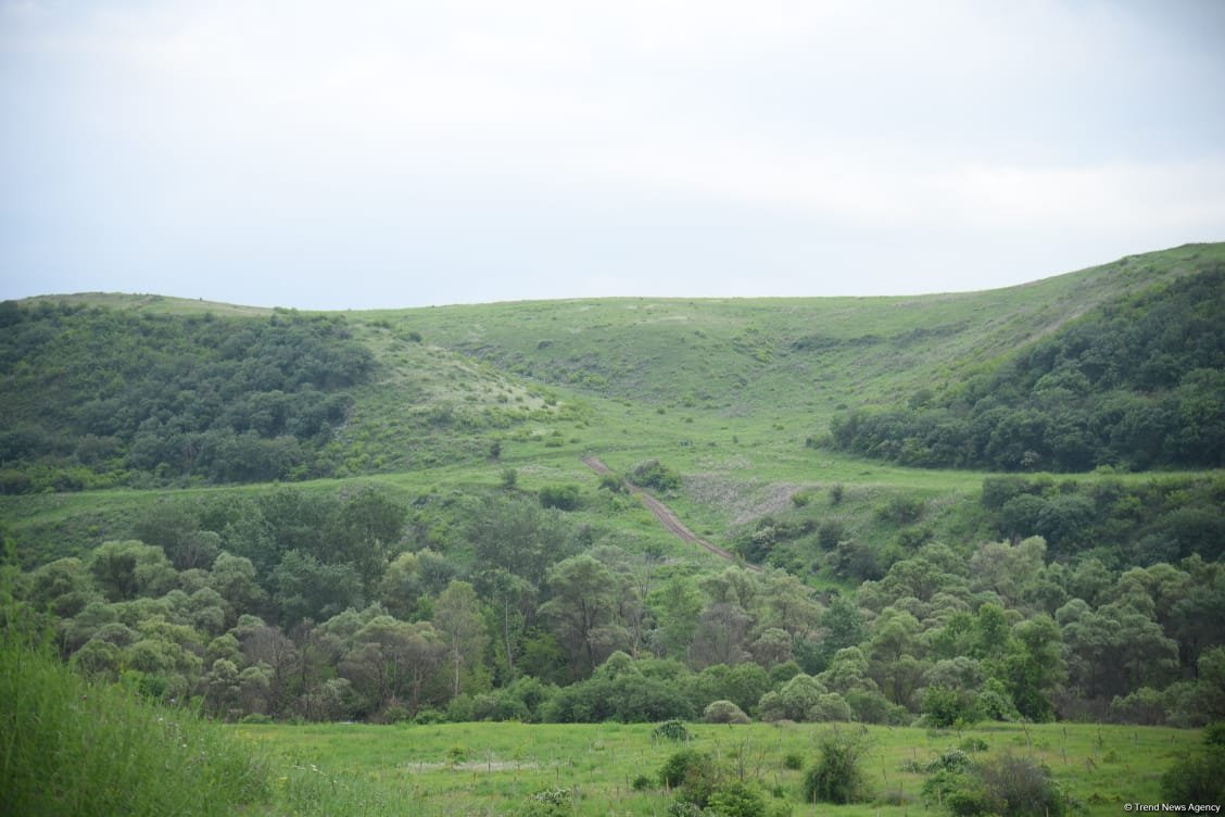 Media representatives visit village of Kheyrimli of Azerbaijan's Gazakh (PHOTO)