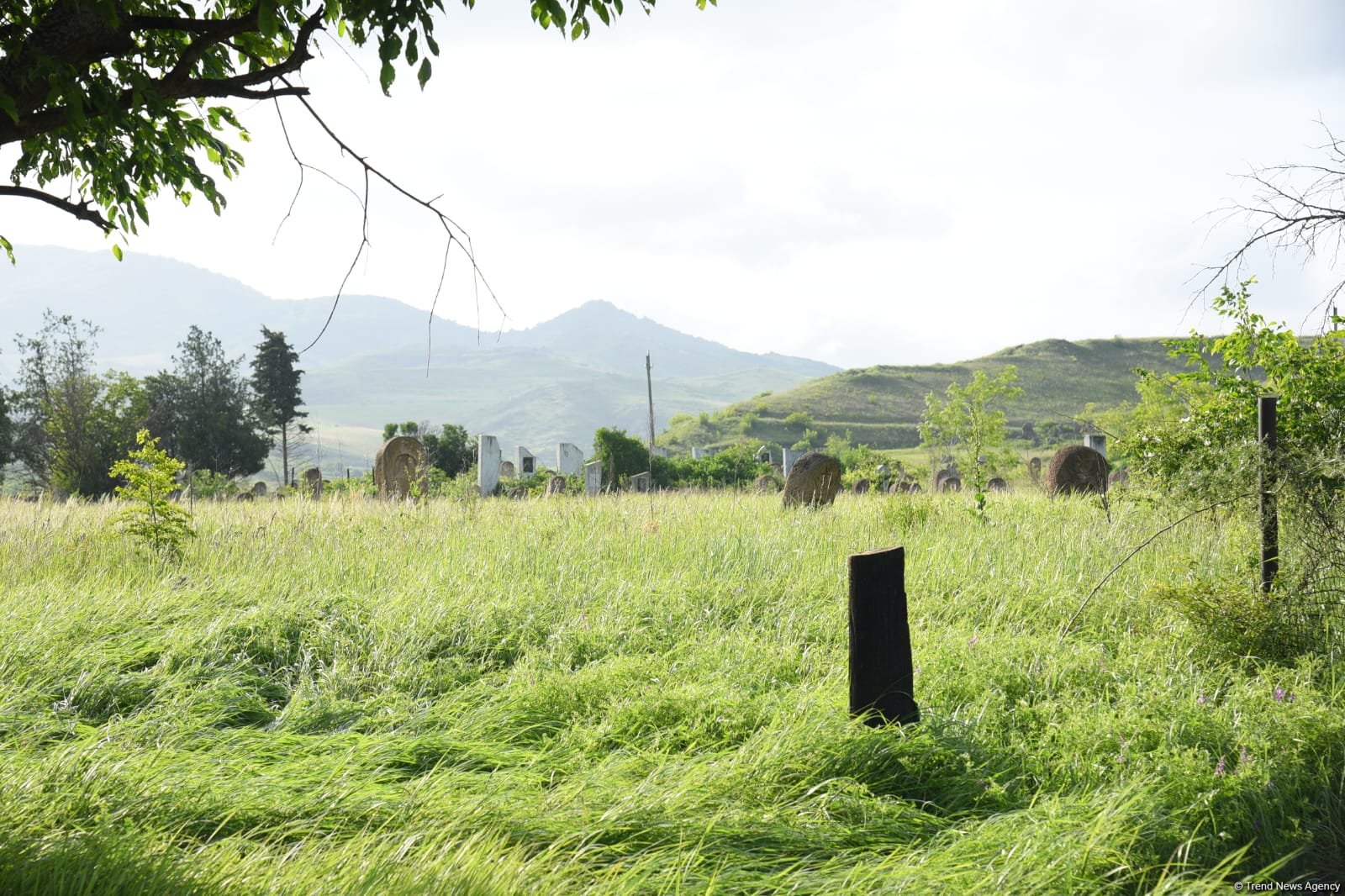 Media representatives visit village of Ashagi Askipara of Azerbaijan's Gazakh (PHOTO)