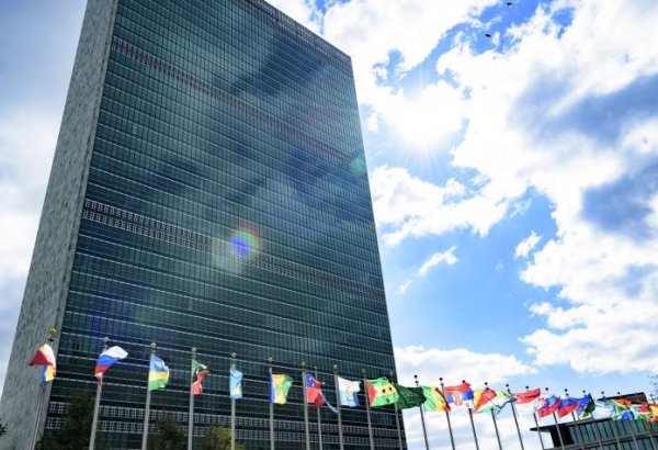 ООН оказывает поддержку Азербайджану для обеспечения конкретных действий в рамках COP29 (Эксклюзив)