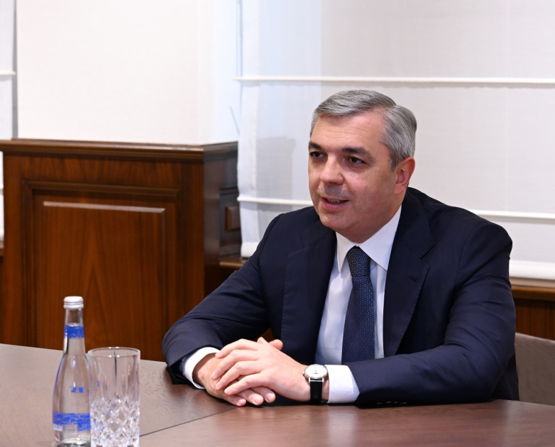 Глава Администрации Президента Азербайджана встретился с исполнительным директором МЭА  (ФОТО)
