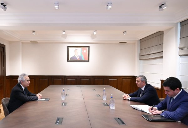 Head of Azerbaijani Presidential Administration meets with IEA Executive Director (PHOTO)