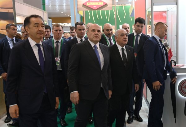 Azerbaijani PM visits Int'l Specialized Exhibition - Belagro 2024 in Belarus (PHOTO)