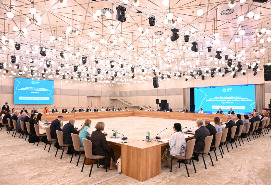 COP29 Organizing Committee holds its fourth meeting (PHOTO) UPDATED
