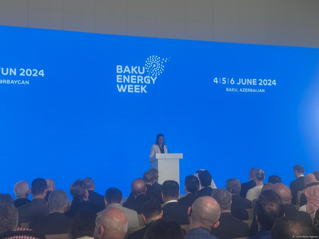 Европа придает большое значение сотрудничеству с Азербайджаном в сфере энергетики - Кристина Лобилло Борреро