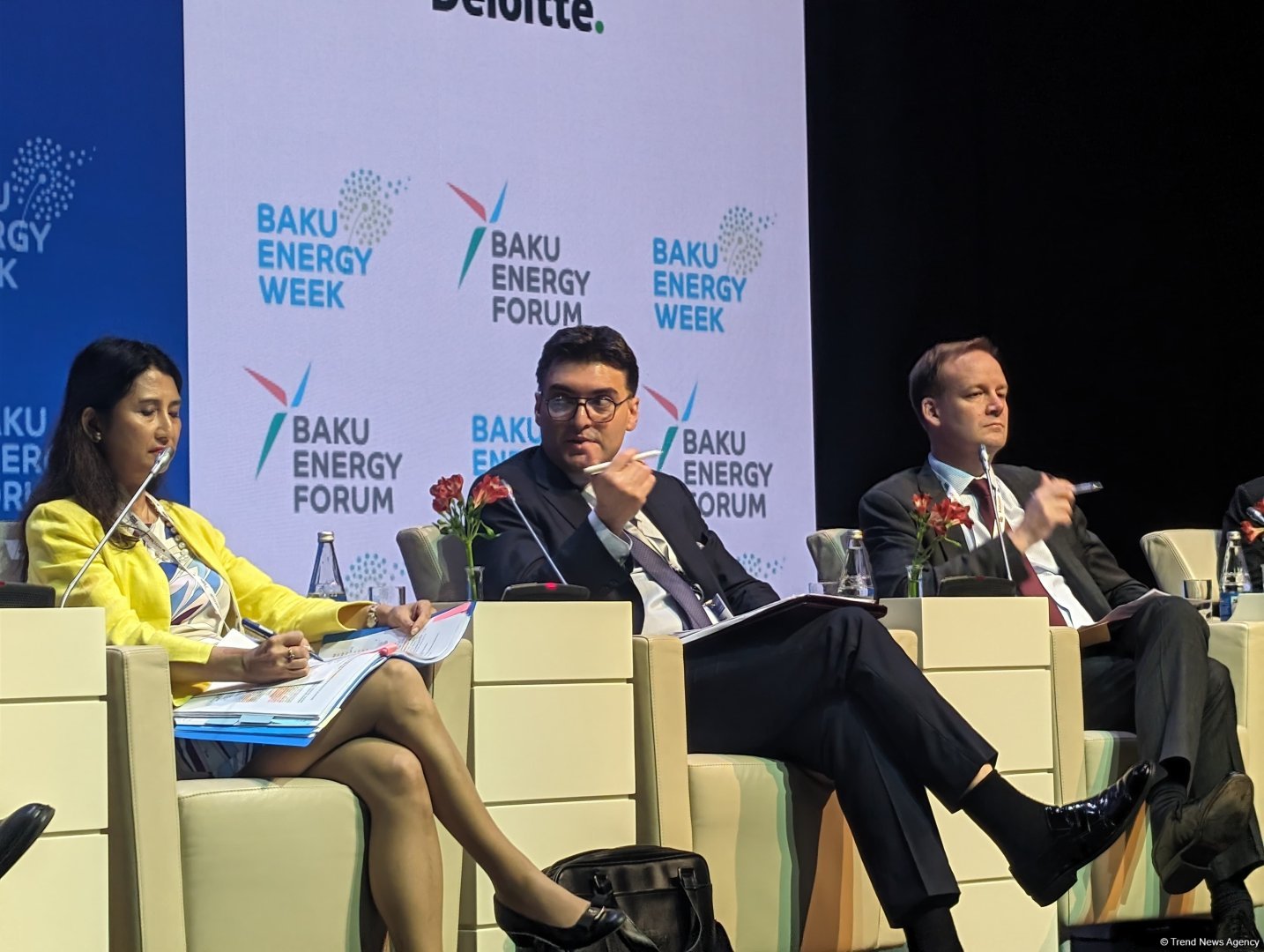 Azerbaijan discusses legislative framework vital to tapping into renewable energy sources