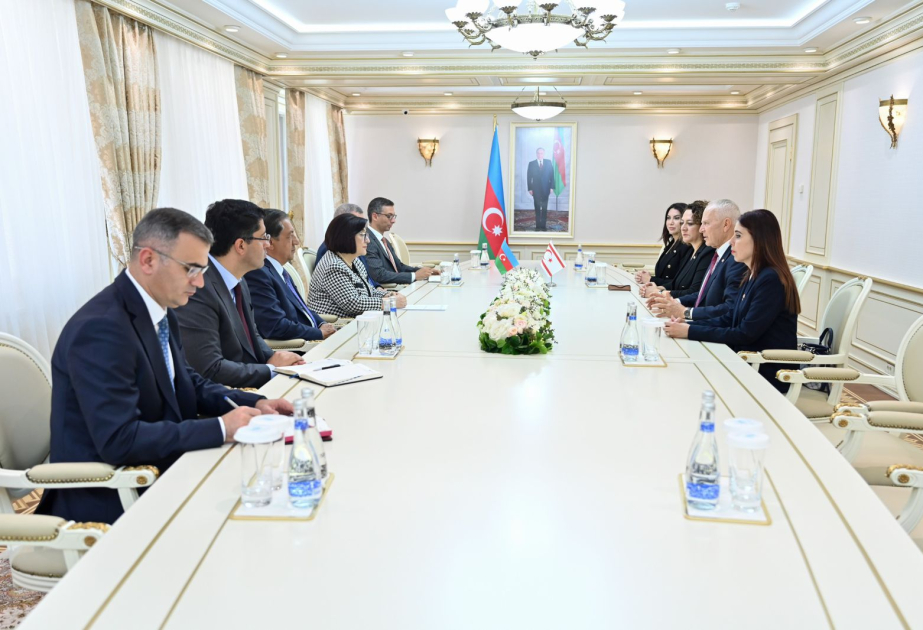 Обсуждены связи между законодательными органами Азербайджана и ТРСК