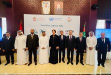 Turkmenistan hosts 'Road from Dubai to Baku - Pre-COP29 meeting' (PHOTO)