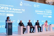 29th High-Level Meeting - "Pathway to COP29: Sustainable and Resilient Future" in Baku proceeds with panel discussions (UPDATED) (PHOTO)