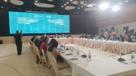 High-level meeting "Pathway to COP29: Sustainable and Resilient future" held in Azerbaijan's Zangilan (PHOTO)