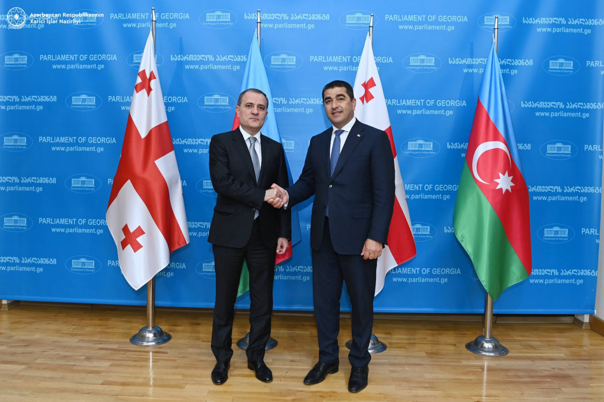Джейхун Байрамов обсудил региональную ситуацию с председателем парламента Грузии