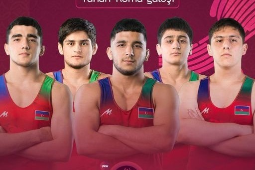 Азербайджанские борцы греко-римского стиля завоевали три медали