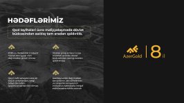 “AzerGold”