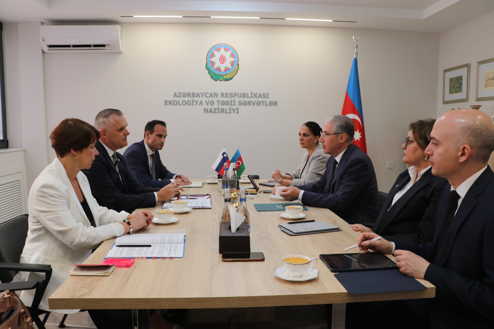 Азербайджан и Словения обсудили подготовку к COP29