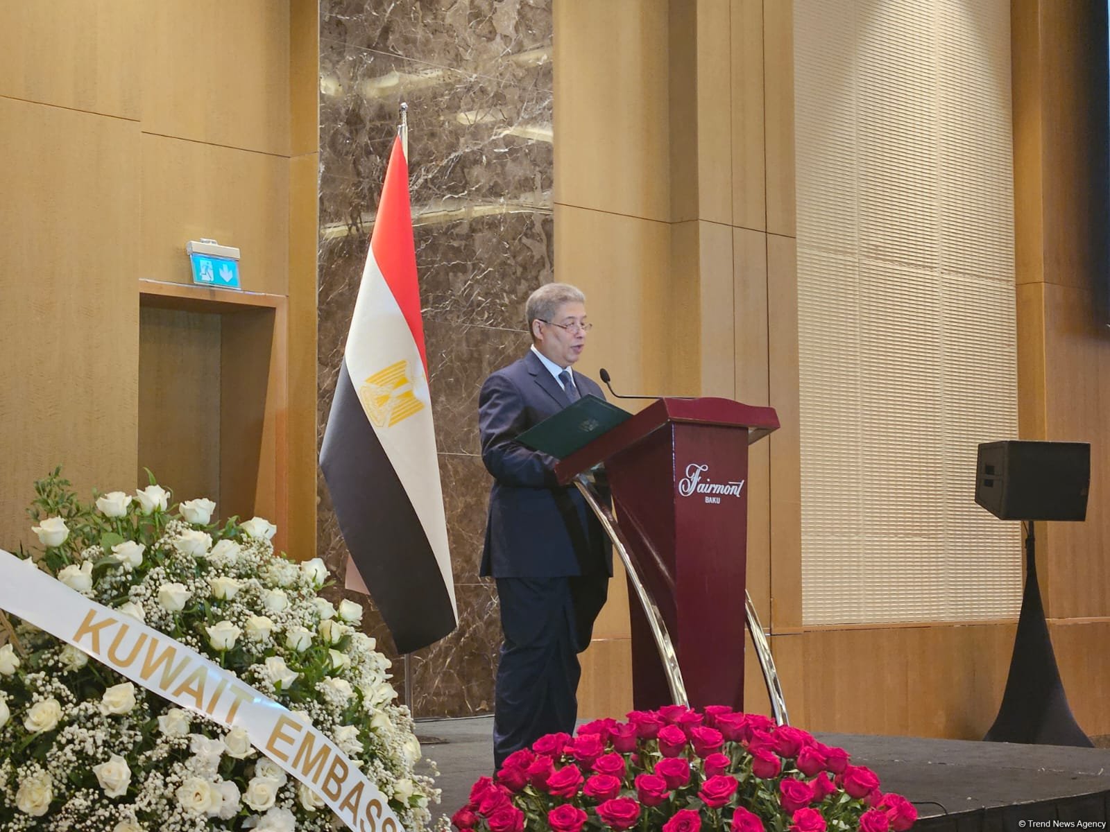 Египет готов к сотрудничеству с Азербайджаном в рамках СОР29 - посол