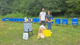 IDEA İctimai Birliyinin “Gənc arıçı” layihəsi uğurla davam edir (FOTO)