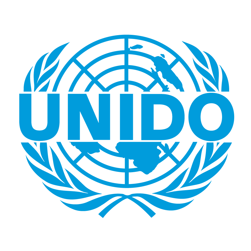 UNIDO advancing Uzbekistan's economy, environment via projects (Exclusive)