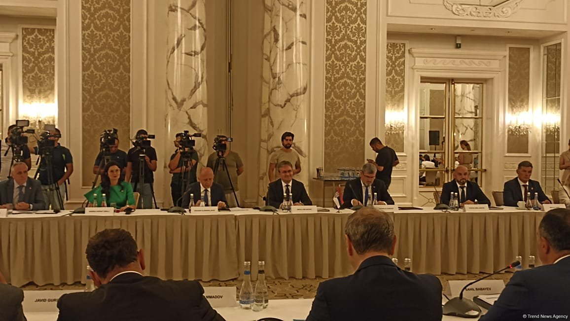 Отношения между Сербией и Азербайджаном развиваются успешно по всему спектру сотрудничества - министр (ФОТО)