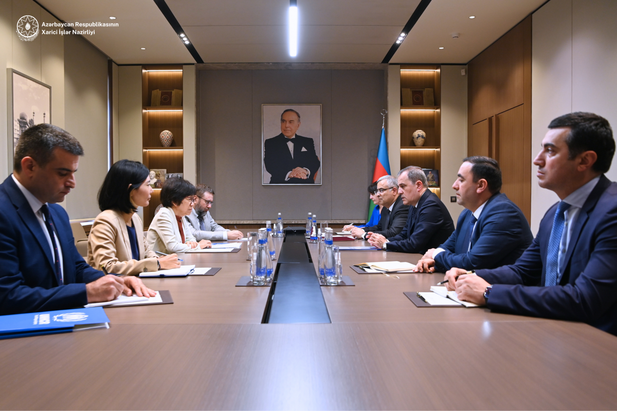 Azerbaijani FM exchanges views with representative of UN High Commissioner for Refugees