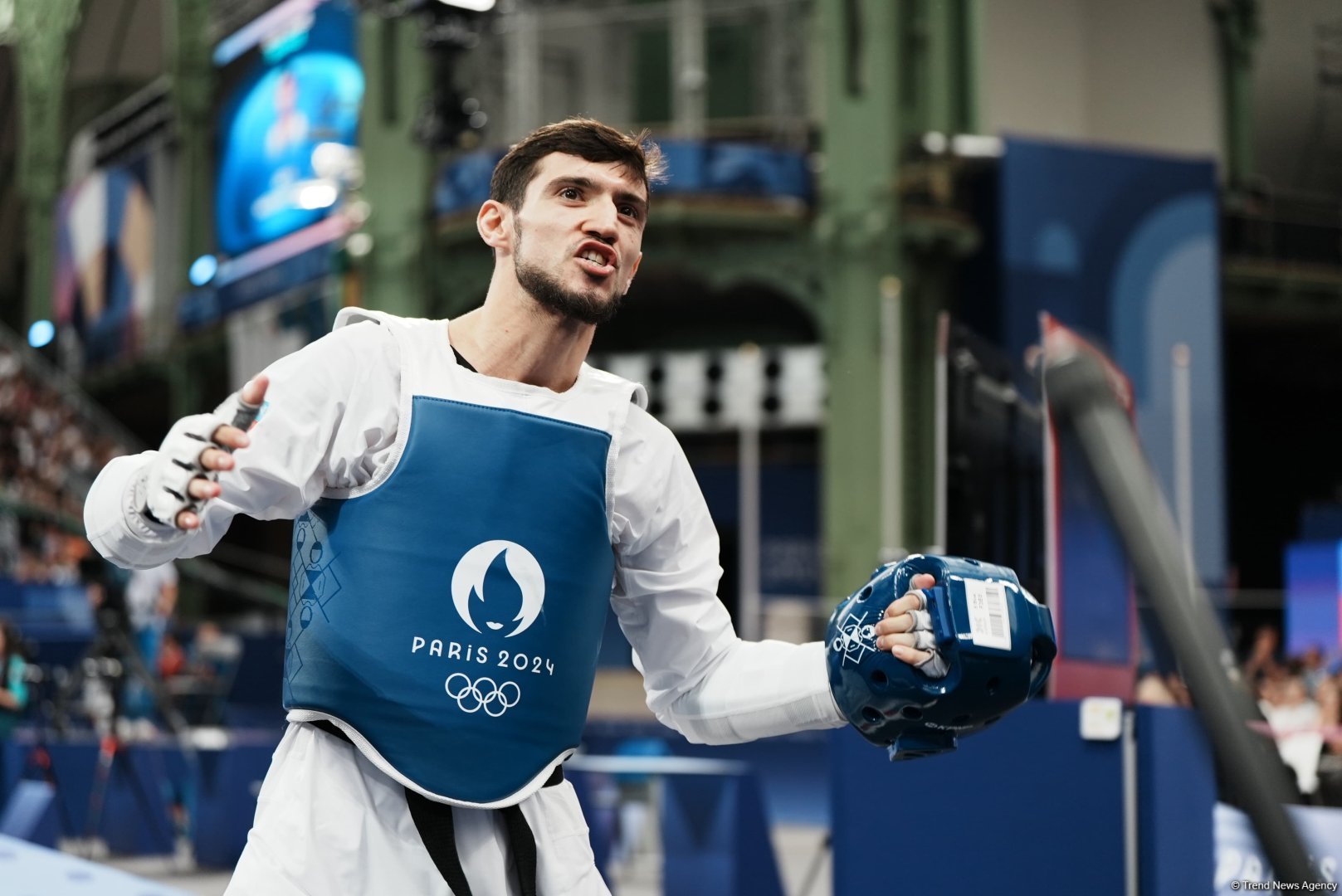 Paris-2024: Azərbaycan taekvondoçusu finalda (YENİLƏNİB) (FOTO)