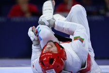 Azerbaijani taekwondoist wins silver medal at Olympic Games (PHOTO)