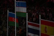 Azerbaijani boxer Alfonso Dominguez wins silver medal at Paris Olympics (PHOTO)