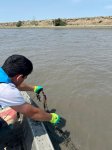 IDEA organizes another Kura riverbank cleanup in Azerbaijan (PHOTO)