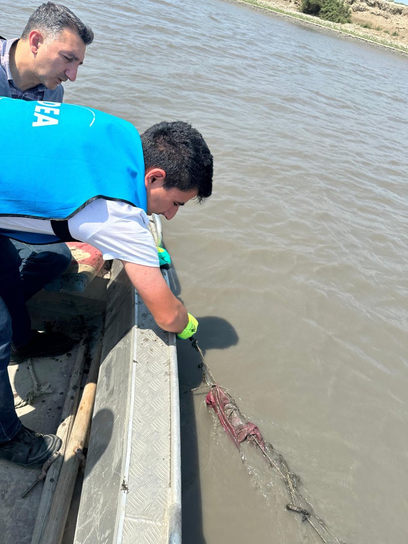 IDEA organizes another Kura riverbank cleanup in Azerbaijan (PHOTO)